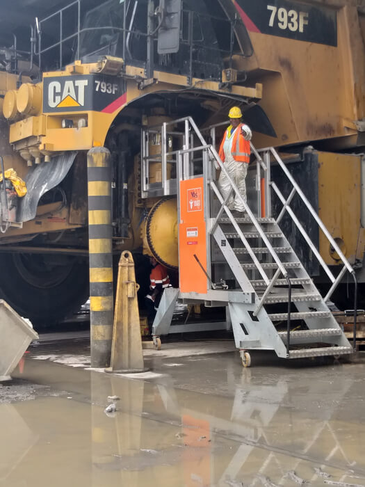 AHP-Giraffe---Papua-New-Guinea-sml